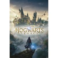 Poster Hogwarts Legacy Wizarding World Universe 61x91,5cm - thumbnail