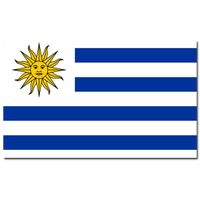 Landen thema vlag Uruguay 90 x 150 cm feestversiering - thumbnail
