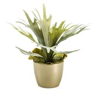 Kunstplant Staghorn varen - groen - in gouden pot - 38 cm   -