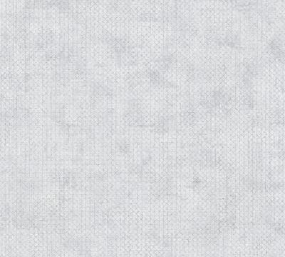 AS Creation THE BoS - Grijs - Grafisch - 388261