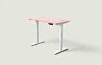 Desktronic HomePro bureau Wit / Zachtroze / 120x60 cm Desktronic HomePro bureau Wit / Zachtroze / 120x60 cm