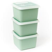 DBP alaska diepvriesdozen vierkant 0.5l 3 stuks mintgroen