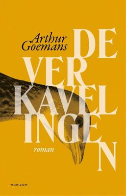 De verkavelingen - Arthur Goemans - ebook