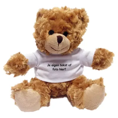 Knuffel Teddybeer