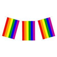 Regenboog vlaggenlijn/vlaggetjes van 7 meter   - - thumbnail