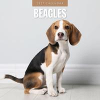 Beagle Kalender 2027