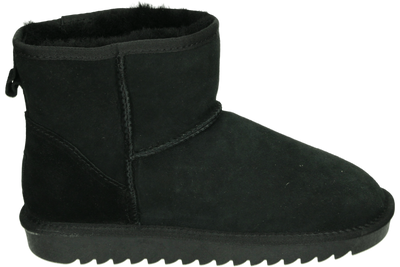 Ara 1229921 - alle