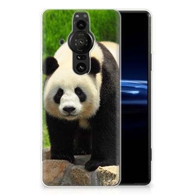 Sony Xperia Pro-I | TPU Hoesje | Panda