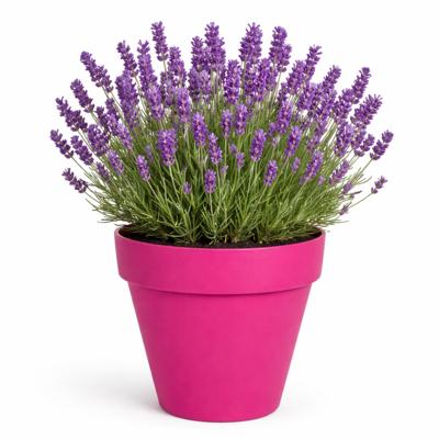 Plantenpot/bloempot - kunststof - fuchsia roze - binnen en buiten - D26 x H22 cm