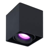Esto smart Opbouwspot - Plafondspot - Kantelbaar - RGBWW - Wifi + Bluetooth - Google Home, Amazon Alexa en Siri - Zwart - Bestuurbaar via App en Stem