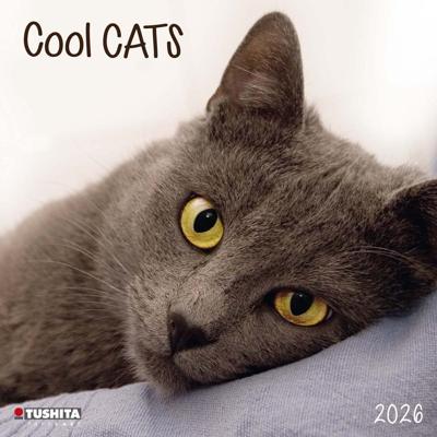 Cool Cats Kalender 2026