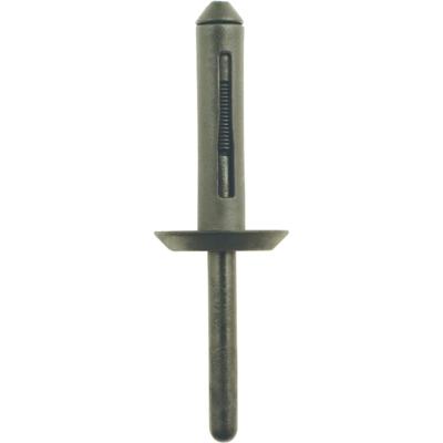KS Tools 420.5275 Kunststof klinknagel voor Ford, verpakking van 50 stuks