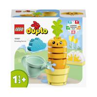 LEGO® DUPLO® 10981 Groeiende wortel