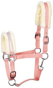 Harry's Horse Halster Lyrics V