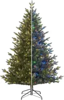 Black Box Trees Burton verlichte kerstboom blauwgroen 215cm, 500 lampjes