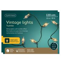 Lumineo Vintage kerstverlichting ? 120 led lampjes - 2x - klassiek warm wit ? 11,9 meter ? kunststof