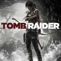 Square Enix Tomb Raider Standaard PC