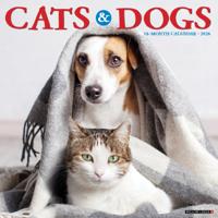 Katten en Honden Kalender 2026