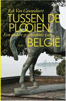 Tussen de plooien - Rik van Cauwelaert - ebook