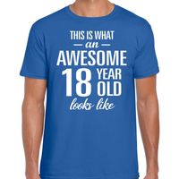 Awesome 18 year / 18 jaar cadeau t-shirt blauw heren