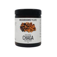 Mushrooms for Life Chaga poeder bio 60 Gram