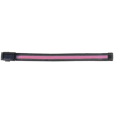 Equiled Safety frontriem roze