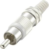 TRU COMPONENTS 719332 Cinch-connector Stekker, recht Aantal polen: 2 Wit 1 stuk(s) - thumbnail