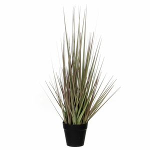 Mica Decorations - gras kunstplant - groen/paars - H53 x D30 cm   -