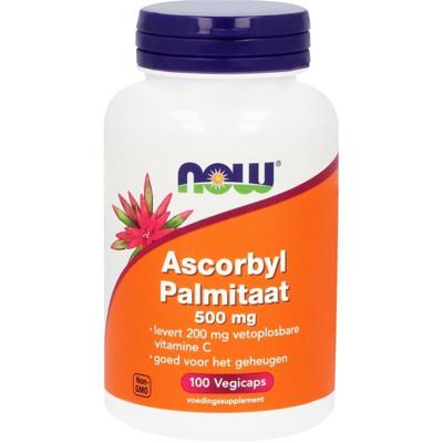 Ascorbyl palmitaat 500mg 100 Vegetarische capsules Ascorbyl palmitaat 500mg 100 Vegetarische capsules