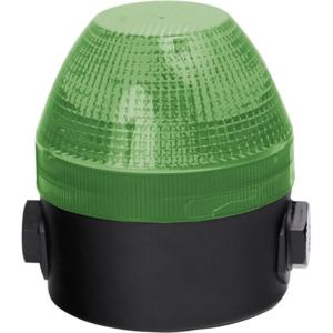 Auer Signalgeräte Signaallamp NES 440106408 Groen Groen Continulicht, Knipperlicht 24 V/DC, 24 V/AC, 48 V/DC, 48 V/AC