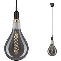 Paulmann Ketil 50381 Hanglamp LED E27 Zwart
