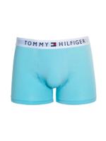 Tommy Hilfiger - TRUNK - CS2, Maat:L