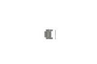 Diesel Bandschakels DZ4209 - 24mm - (2 stuks)