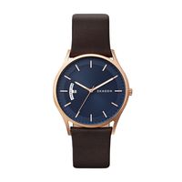 Horlogeband Skagen SKW6395 Leder Bruin 21mm