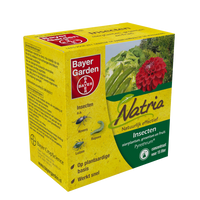 Bayer Bayer Pyrethrum