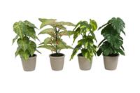 Countryfield Kunstplant groen Ø18x30cm