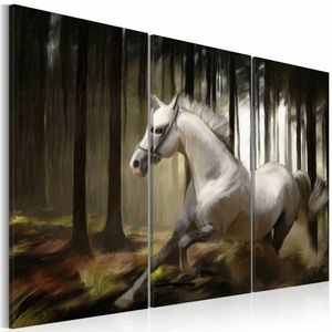 Schilderij - Paard in het bos, schimmel , zwart wit , 3 luik
