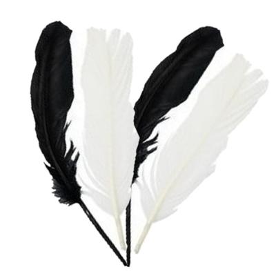 Iindianenveren/sierveren - 60x stuks - zwart/wit - 16 cm - Decoratie veertjes/veren
