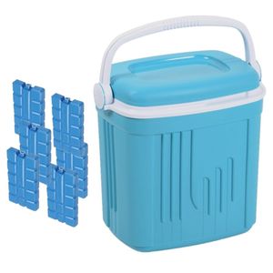 Voordelige normale blauwe koelbox 20 liter met 6x normale koelelementen   -