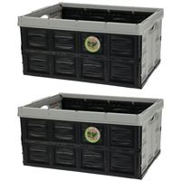 2x Stuks Inklapbare boodschappenkratten - Gerecycled kunststof - 45L