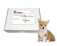 Puppy Cadeau Box - thumbnail