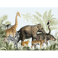 Designed4Kids wandvullend behang kinderkamer jungle parade-350 x 260 cm
