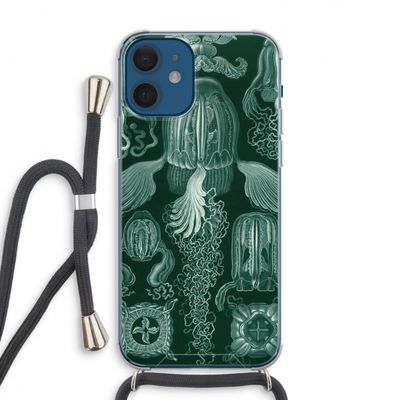 Haeckel Cubomedusae: iPhone 12 Transparant Hoesje met koord