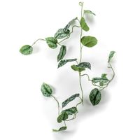 Emerald Kunstplantslinger scindapsus pictus 120 cm - thumbnail