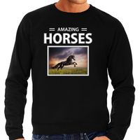 Zwarte paarden foto sweater zwart voor heren - amazing horses cadeau trui Zwart paard liefhebber 2XL  -