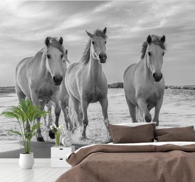 Dieren fotobehang Paarden rennen