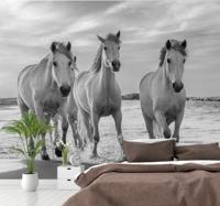 Dieren fotobehang Paarden rennen