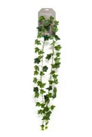 Ivy Garland Green 180 cm/65 lvs - Emerald