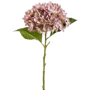 Emerald Kunstbloem hortensia tak - Annabelle - 52 cm - paars - Kunst zijdebloem - Hydrangea   -