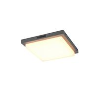 Trio PlafondlampBermejo vierkant antraciet - 630369242